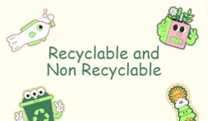 Recyclable and Non Recyclable