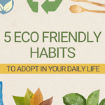 5 Eco Friendly Habits