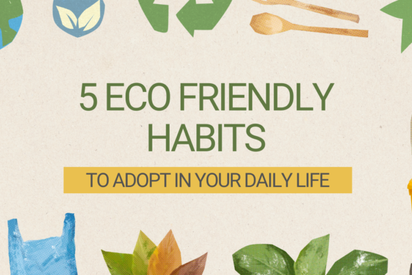 5 Eco Friendly Habits