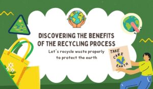 Discovering the Benefits of the Recycling Process